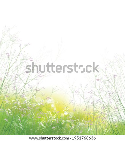 Vector summer,  green,  nature background. Flowers and plants on  green, bokeh background.