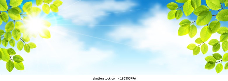 Vector summer illustration with green leaves against the sky and clouds