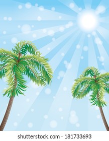 Vector summer illustration. Palm trees.