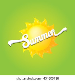 vector summer label isolated on green background. summer icon with sun. summer background