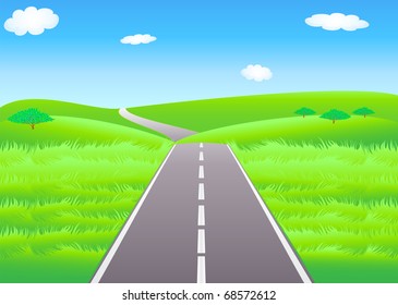 Vector summer landscape with asphalt road and the trees