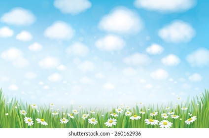 Vector summer landscape, blue sky , meadow and chamomiles.