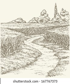 Vector summer landscape. A dirt path through fields of wheat 