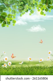 Vector summer landscape with grass, flowers, tree branches, butterfly