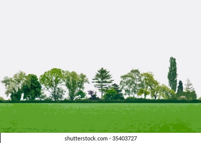 Vector summer landscape with green trees