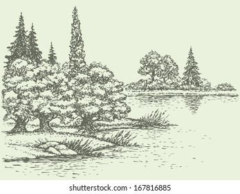 Vector summer landscape. Lush forest trees on the river bank