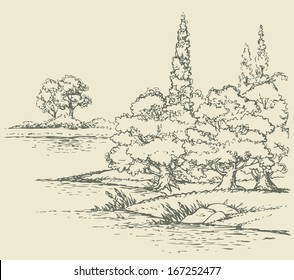 Vector summer landscape. Lush oaks and poplars growing on the riverbank