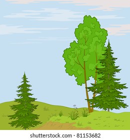 Vector, summer landscape: trees, flowers and the blue sky with white clouds