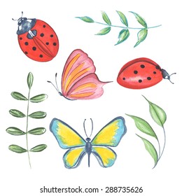 Hojas de verano vectoriales, cucarachas y acuarela de mariposa. Colección de elementos de diseño colorido pintado sobre fondo de aislamiento blanco para sus páginas web de diseño, invitaciones de boda, guardar la fecha