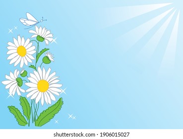 vector summer light blue background with white flowers and rays