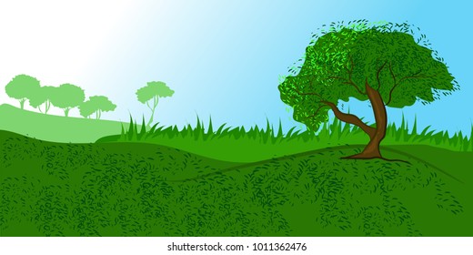 Vector summer meadow. Tree on the Hill
