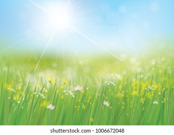 Vector summer, nature  background.