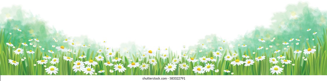 Vector summer nature  background.