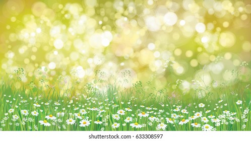Vector summer nature  background.