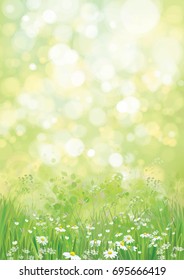 Vector summer nature   background.