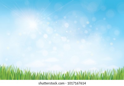 Vector summer nature  background, blue sunny sky and green grass border.