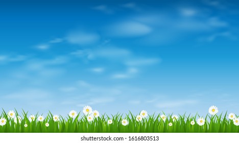 Vector summer nature background, blue sunny sky and green grass border. Cartoon grass vector illustration