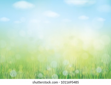 Vector summer nature  background, blurred effect.