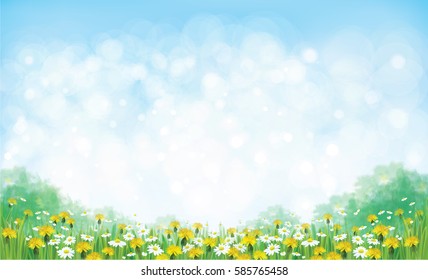 Vector summer nature  background, chamomiles and dandelions field.