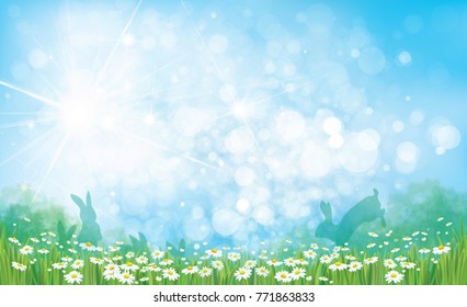 Vector summer nature  background, chamomiles field, rabbits and  blue sky.