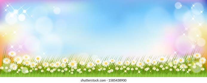 Vector summer nature background with cute tiny daisy flowers and green grass fields. Spring background with abstract blurry bokeh light effect.Tamplate banner for Easter or Spring in pastel background