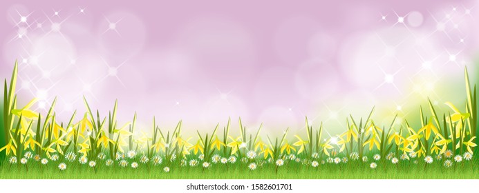 Vector summer nature background with daffodils, tiny daisy flowers and green grass fields. Spring background with abstract blurry bokeh light effect. Template banner for Easter or Spring background.