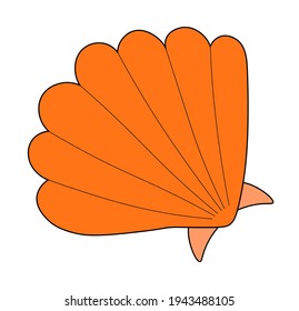 Vector summer orange seashell illustration. The element is isolated on a white background.