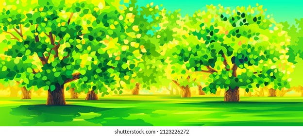 Verano vectorial paisaje pacífico. Árboles verdes bajo la luz del sol dorada.