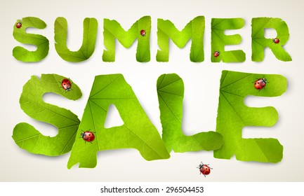 Vector Summer Sale words, made from green leaves, isolated on background