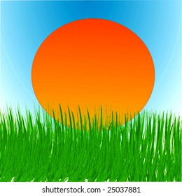 Vector Summer Scene