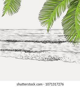Vector summer seascape sketch. Seaside view and beach