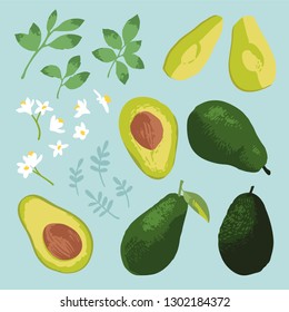 Vector summer set with avocado, leaves and flowers isolated on white background