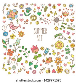 Vector summer set with birds and plants. Doodle contour colorful  images.
