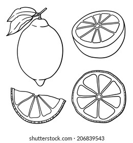 Vector summer set with lemons isolated on white background