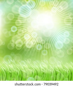 vector summer shiny frame with grass
