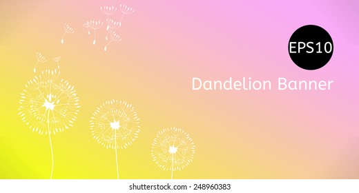 Vector summer or spring background, banner with dandelion