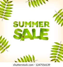 Vector summer square background, green leaves and the inscription Summer Sale, made from green leaves, isolated on white background.