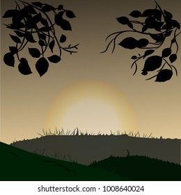 Vector summer sunset illustration