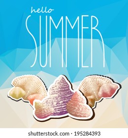 Vector summer text with sea snail shell background illustration