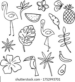 Ilustración tropical de vectores en blanco y negro con flamencos y flores y plantas tropicales