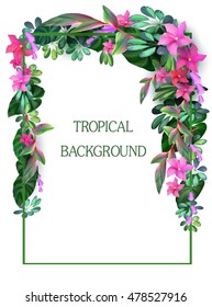 Vector. Summer tropical hawaiian background with leavs and exotic plants,summer flowers poster