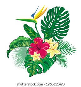 Vector summer tropical leaves and flowers. Trendy monstera leaves isolated. Design for logo