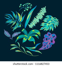 Vector summer tropical leaves, vintage exotic natural illustration on black background, decorative set. Collection of nature elements