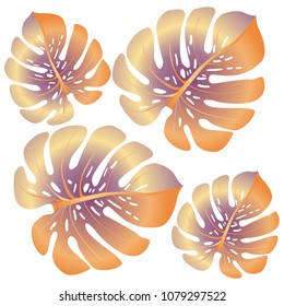 Vector summer tropical pattern with jungle leaves decor, fabric background. Floral jungle ornament with monstera leaf tropical pattern. Philodendron or monstera plant background.