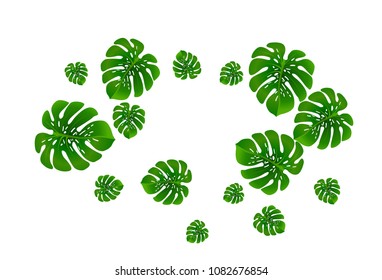 Vector summer tropical pattern with jungle leaves decor, fabric background. Floral jungle ornament with monstera leaf tropical pattern. Philodendron or monstera plant background.