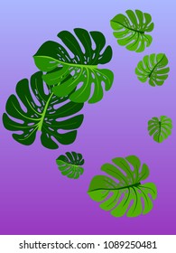 Vector summer tropical pattern with jungle leaves decor, fabric background. Floral jungle ornament with monstera leaf tropical pattern. Philodendron or monstera plant background.