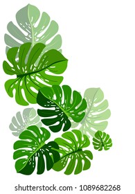 Vector summer tropical pattern with jungle leaves decor, fabric background. Floral jungle ornament with monstera leaf tropical pattern. Philodendron or monstera plant background.