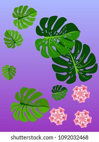 Vector summer tropical pattern with jungle leaves decor, fabric background. Floral jungle ornament with monstera leaf tropical pattern. Philodendron or monstera plant background.