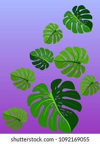 Vector summer tropical pattern with jungle leaves decor, fabric background. Floral jungle ornament with monstera leaf tropical pattern. Philodendron or monstera plant background.