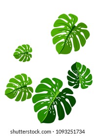Vector summer tropical pattern with jungle leaves decor, fabric background. Floral jungle ornament with monstera leaf tropical pattern. Philodendron or monstera plant background.